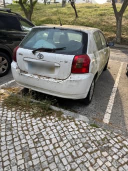 Fotografia 1